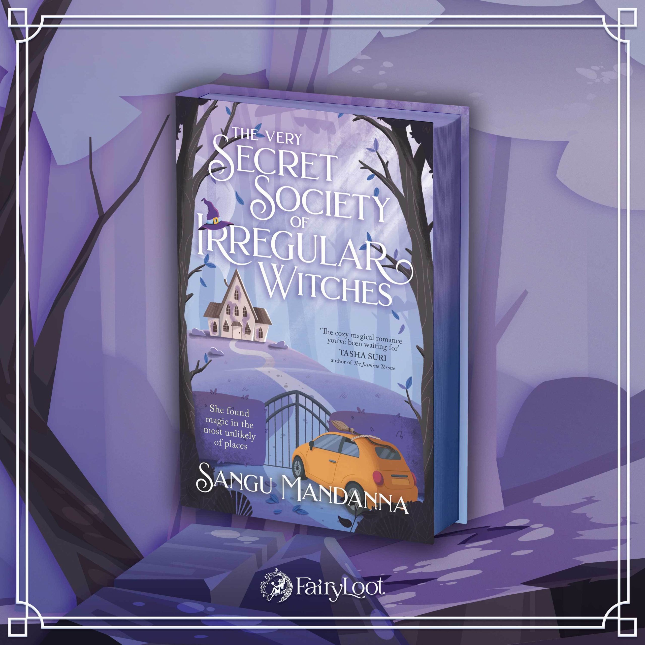 The Very Secret Society of Irregular Witches by Sangu Mandanna