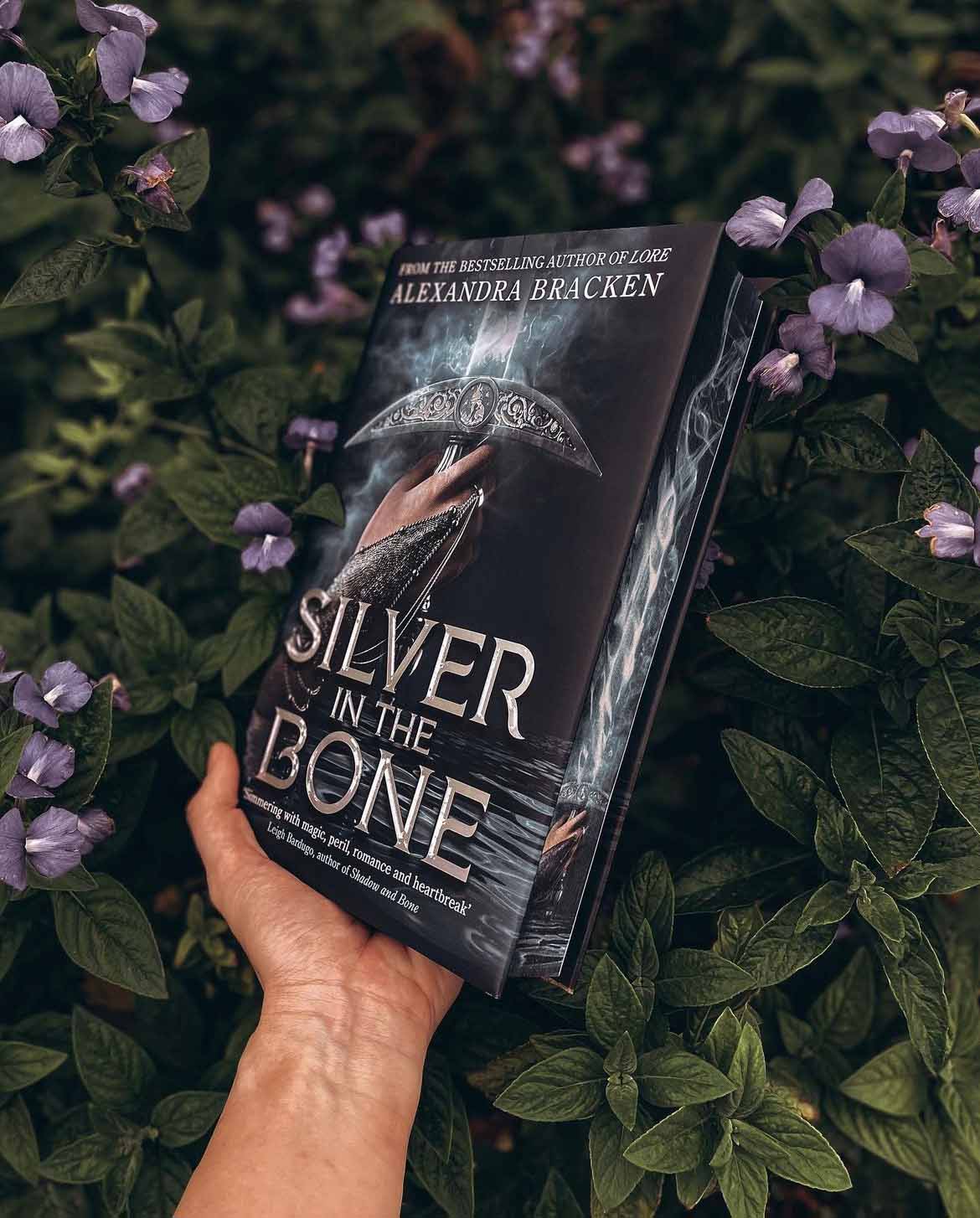 Silver in the bone bundle fairyloot outlets