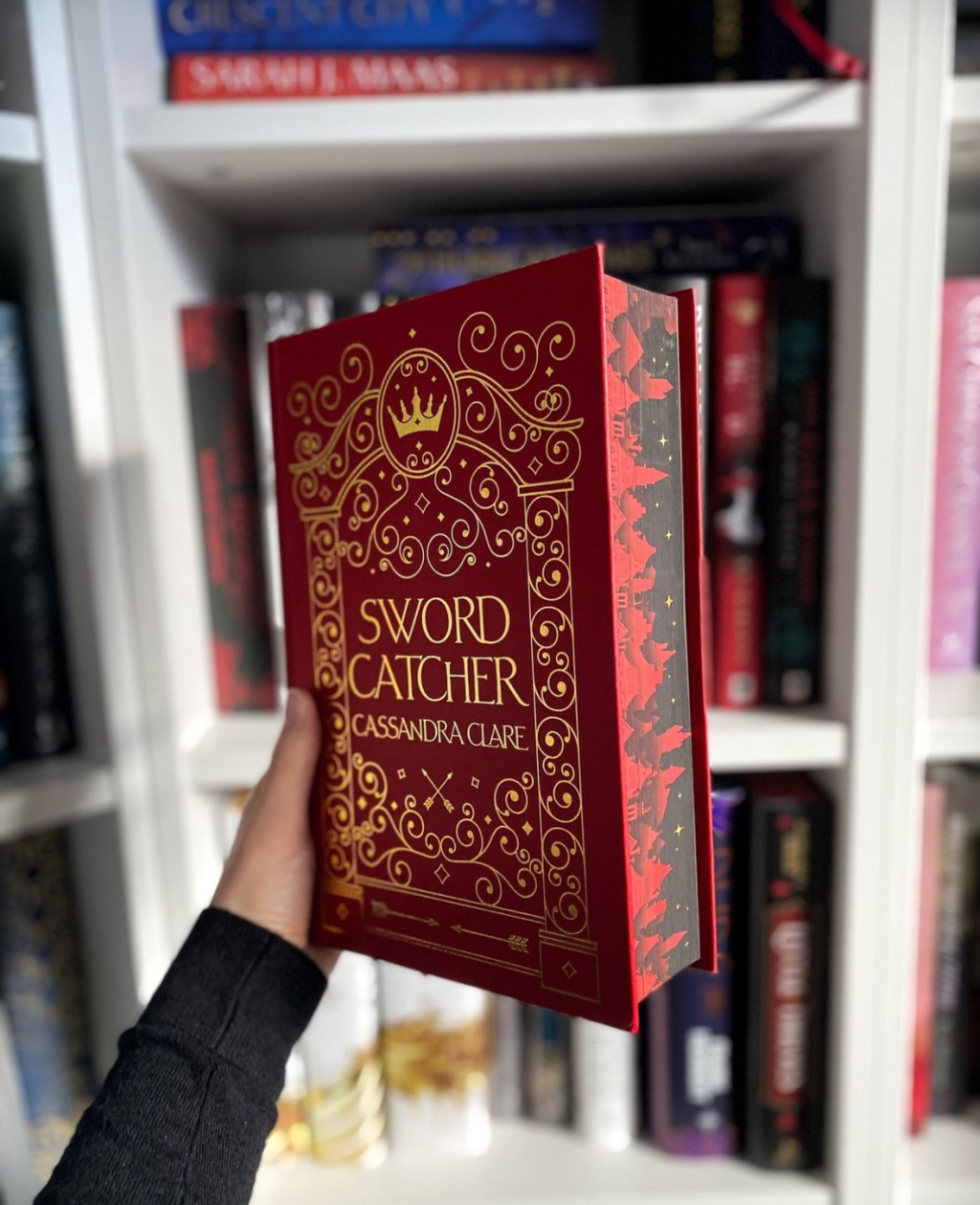 Sword Catcher Readalong: Day 4!